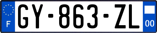 GY-863-ZL