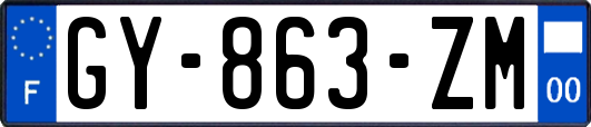 GY-863-ZM