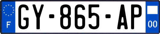 GY-865-AP