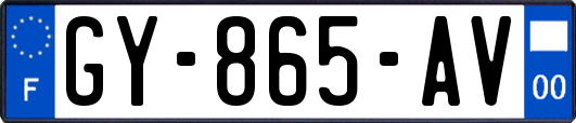 GY-865-AV