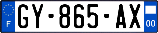 GY-865-AX