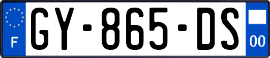 GY-865-DS