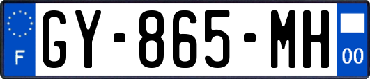 GY-865-MH