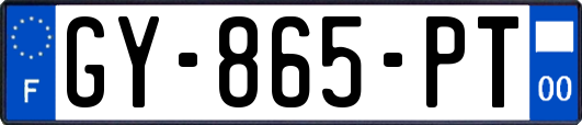 GY-865-PT