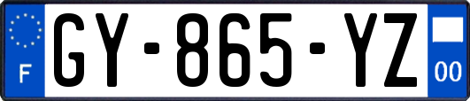 GY-865-YZ