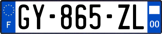 GY-865-ZL