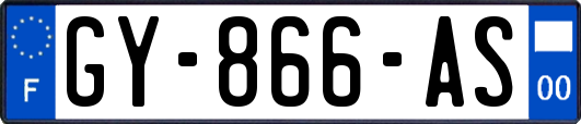GY-866-AS