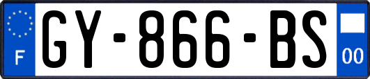 GY-866-BS