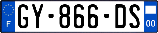 GY-866-DS