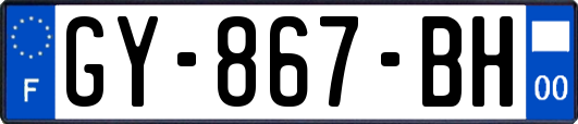 GY-867-BH
