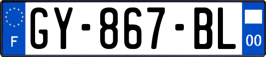 GY-867-BL