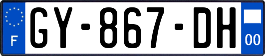 GY-867-DH