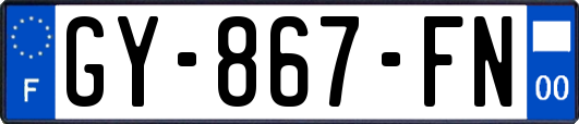 GY-867-FN