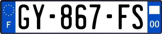 GY-867-FS