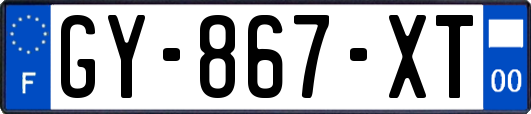 GY-867-XT