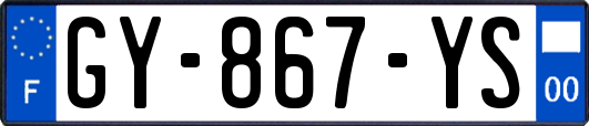 GY-867-YS