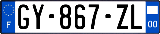 GY-867-ZL