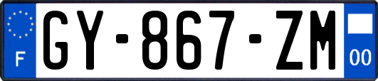 GY-867-ZM