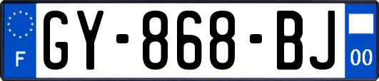 GY-868-BJ