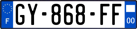 GY-868-FF