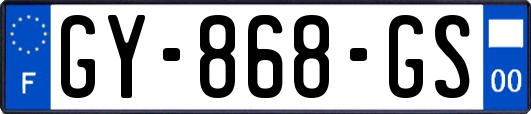 GY-868-GS