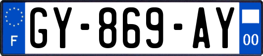 GY-869-AY