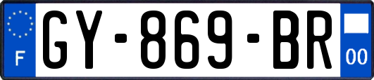 GY-869-BR
