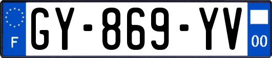 GY-869-YV