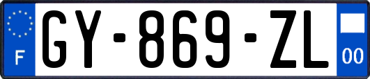 GY-869-ZL