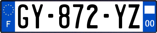 GY-872-YZ