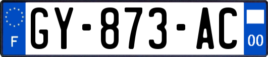 GY-873-AC