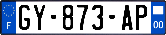 GY-873-AP