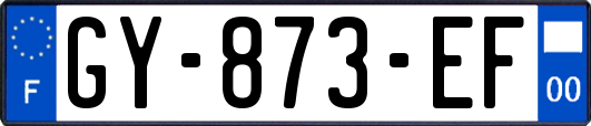 GY-873-EF