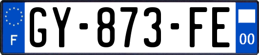 GY-873-FE