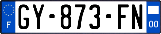 GY-873-FN