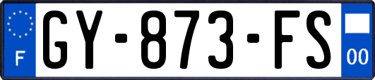 GY-873-FS