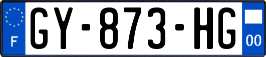 GY-873-HG
