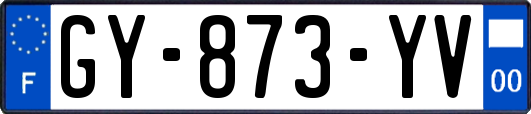 GY-873-YV