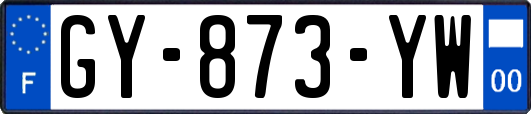 GY-873-YW