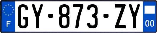 GY-873-ZY