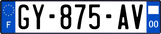GY-875-AV