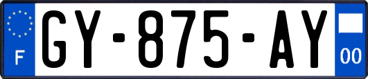 GY-875-AY