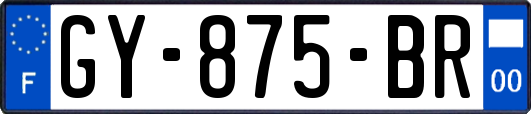 GY-875-BR