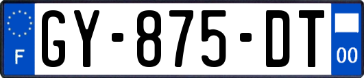 GY-875-DT