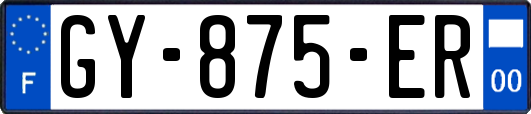 GY-875-ER