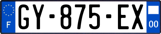 GY-875-EX