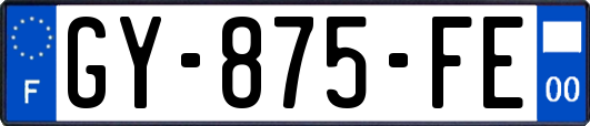 GY-875-FE
