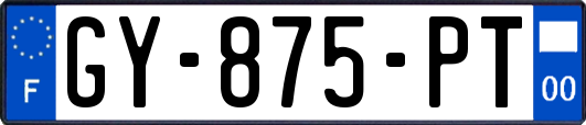 GY-875-PT