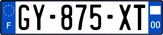 GY-875-XT