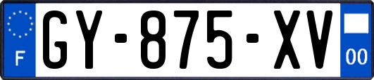 GY-875-XV